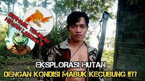 HARUSNYA AKU TIDAK MELAKUKAN INI 😭😭😭 BERBURU DI ALAM LIAR