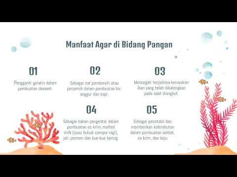 Agar Agar Merupakan Makanan Yang Terbuat Dari Alga Golongan
