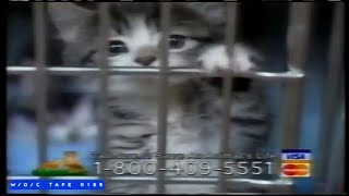 Toronto Humane Society PSA - 1997