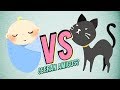 ¿Por qué tu gato NO DEBE dormir con el BEBÉ? 👶🆚😼 | Presentación gato-bebé fácil para dummies