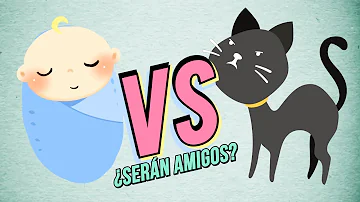 ¿Los gatos sienten celos de los recién nacidos?