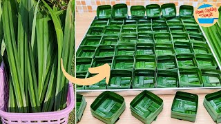 Folding Pandan Leaves Boxes for Thai Khanom Tako