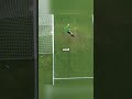 The 5 most disallowed Goal in football history 🤯