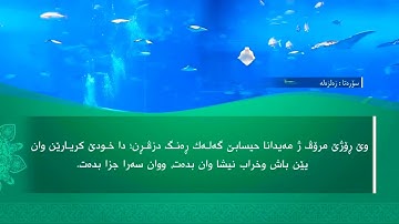تحسين ابراهيم دوسكي - تەفسیرا سورة الزلزلة