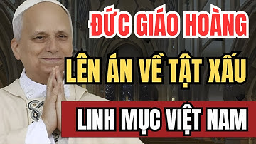 Đức Giáo Hoàng Leo XIV gây chấn động: Lên tiếng chỉ trích linh mục Việt Nam sống khoa chương!