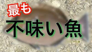 100種類以上の魚を食べた男が選ぶ！マズい魚ワースト3！