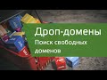 3. Поиск освободившихся доменов