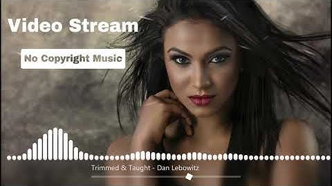 Trimmed & Taught - Dan Lebowitz - [ Video Stream - No Copyright Music ]