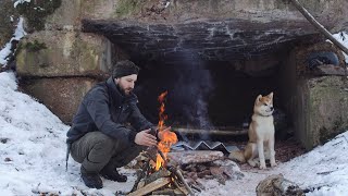 Hachiko and I found a Bunker in the Wilderness - Bushcraft and Cooking over Fire