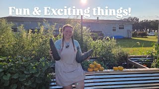 August Garden Tour 🌿 | Everything Growing on Our Homestead August Garden Tour 🌿 | Everything Growing on Our Homestead
