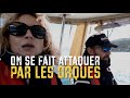 Attaqus par les orques  episode21