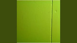 Download Lagu Gaultheria Procumbens MP3