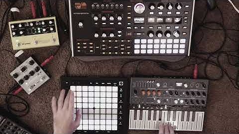 At The Mana Tree - Forest Town Music (Hydrasynth + Microfreak)