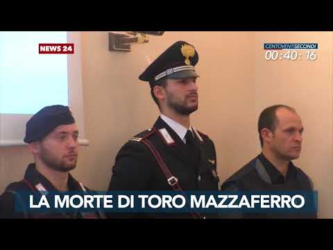 LaC News24 120secondi