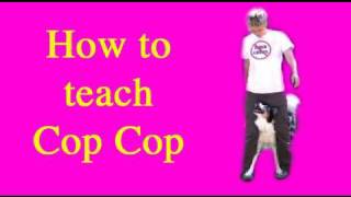 Dog Tricks Tutorial: Cop Cop dog
