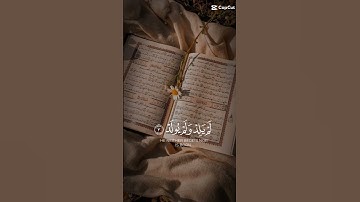 #سورة_الإخلاص #قران_كريم #قرآن
