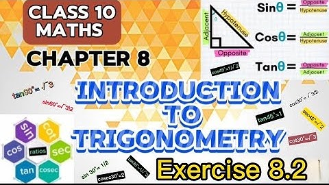 Introduction to Trigonometry - Exercise 8.2 | Class 10th Maths Chapter 8 |  2024 - 25