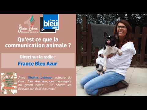 Vidéo: Qu'est-ce que le bleu azur ?