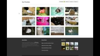 Information Reordering Custom Post Type Posts In WordPress Guide