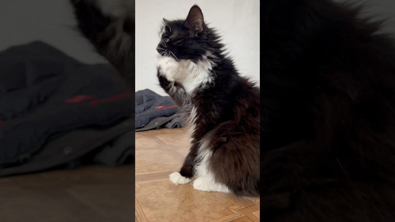 Day 3 – 80 Day Fitness Challenge 💪 Step by Step to $33,000 