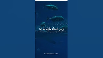 Syaikh Yasser Al-Dosari (الشيخ ياسر الدوسري) | Surah Nuh |سورة نوح  | Nuh