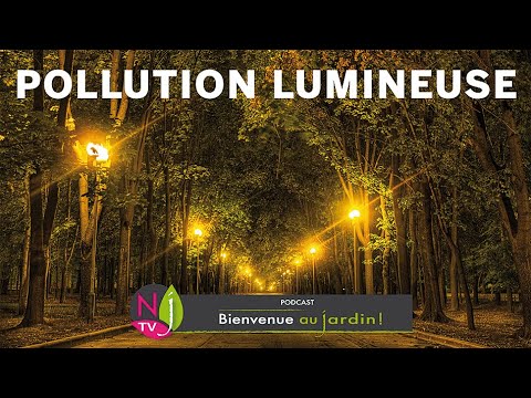 POLLUTION LUMINEUSE :