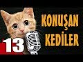 Konuşan Kediler 13 - En Komik Kedi Videoları