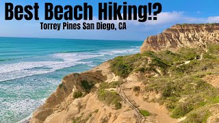 Best Beach Hiking in California!? (Torrey Pines State Natural Reserve San Diego, CA)