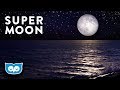 Super Moon & Ocean Waves Relaxation