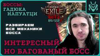 :     -2!   || Path of exile 2 Viper Napuatzi fight