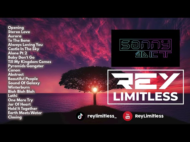 DJ Stereo Love Breakbeat Mixtape Lounge 2024 | Nonstop by SonnyACT[SBD] ft ReyLimitless class=