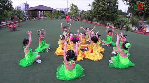 TTNT Họa Mi Bắc Giang _ Nụ cười của bé _ lớp múa 35