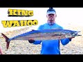 BIG WAHOO FISH CAUGHT IN TROLLING, BEST FIGHT | JIGMAX 2 ROD BY GOODCATCH