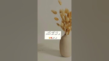 قرآن كريم تلاوة خاشعة 🌺الم نشرح لك صدرك ♥️حالات واتس اب دينيه مقاطع قصيره