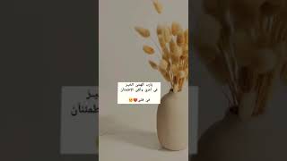 قرآن كريم تلاوة خاشعة 🌺الم نشرح لك صدرك ♥️حالات واتس اب دينيه مقاطع قصيره