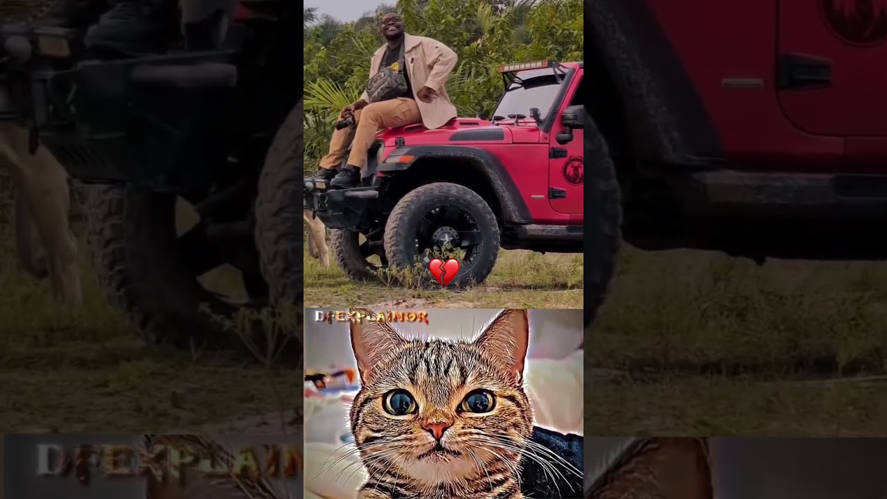 Wildlife adventure 😜