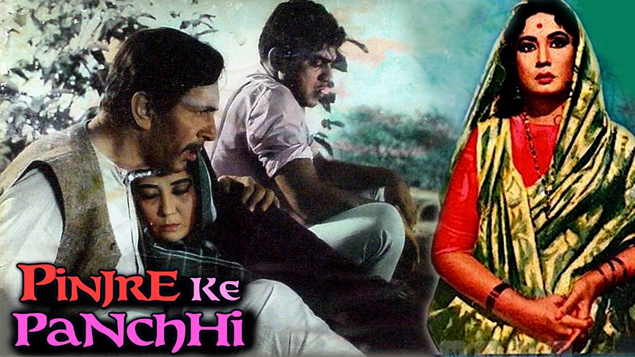 Pinjre Ke Panchhi 1966 Full Movie      Balraj Sahni Meena Kumari