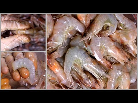 5 أسرار لتنظيف وتقشير الجمبري وإزالة كيس الرمل بسرعة وفعالية