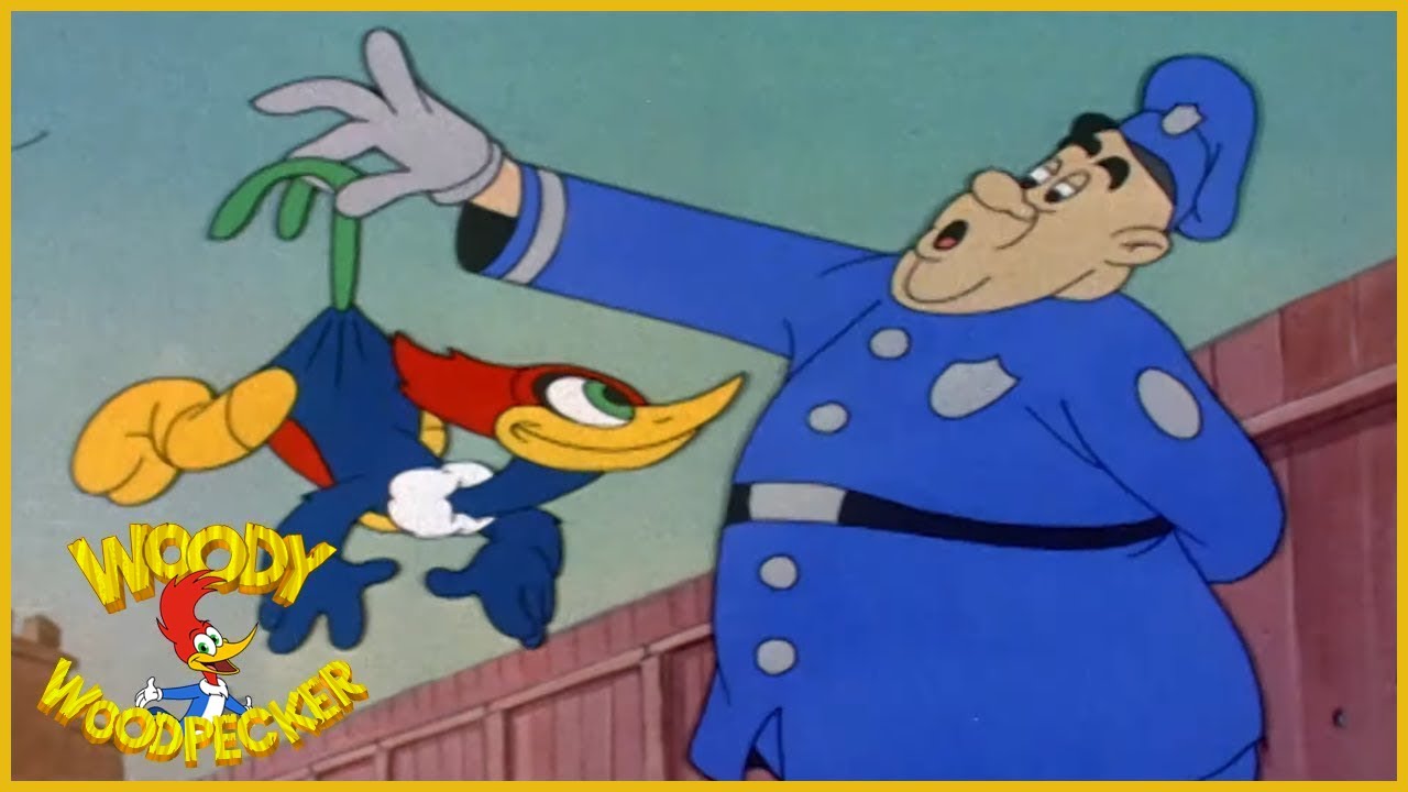Woody Woodpecker The Screwball Full Episodes YouTube