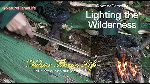 1 Day Alone in the Forest – Building House, Fish Pond & Self-Sufficient Life | Nature Flame Life