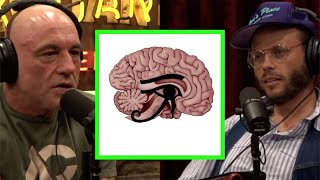 What Advanced Knowledge Did the Ancient Egyptians Have? Joe Rogan Experience