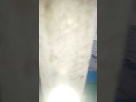 mancing-ikan-monster-di-tengah-laut