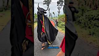 Bantengan Rasa Karnaval, Lls Meledak