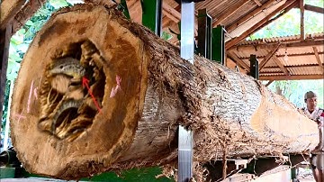 Brutal and fata! The terrifying destruction of large teak logs at the sawmill