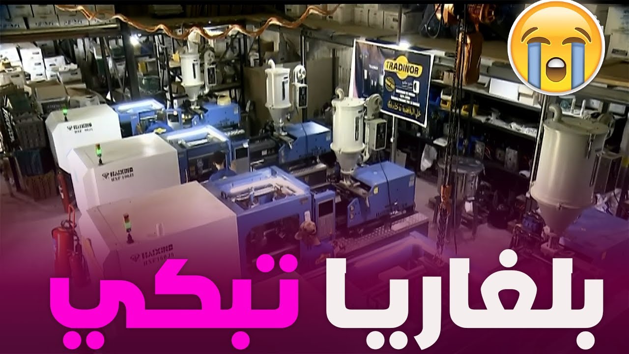 من بلغاريا إلى الجزائر.. حكاية إستثمار ذكي غير مجرى السوق وأقلق دولا أروبية 🏭
