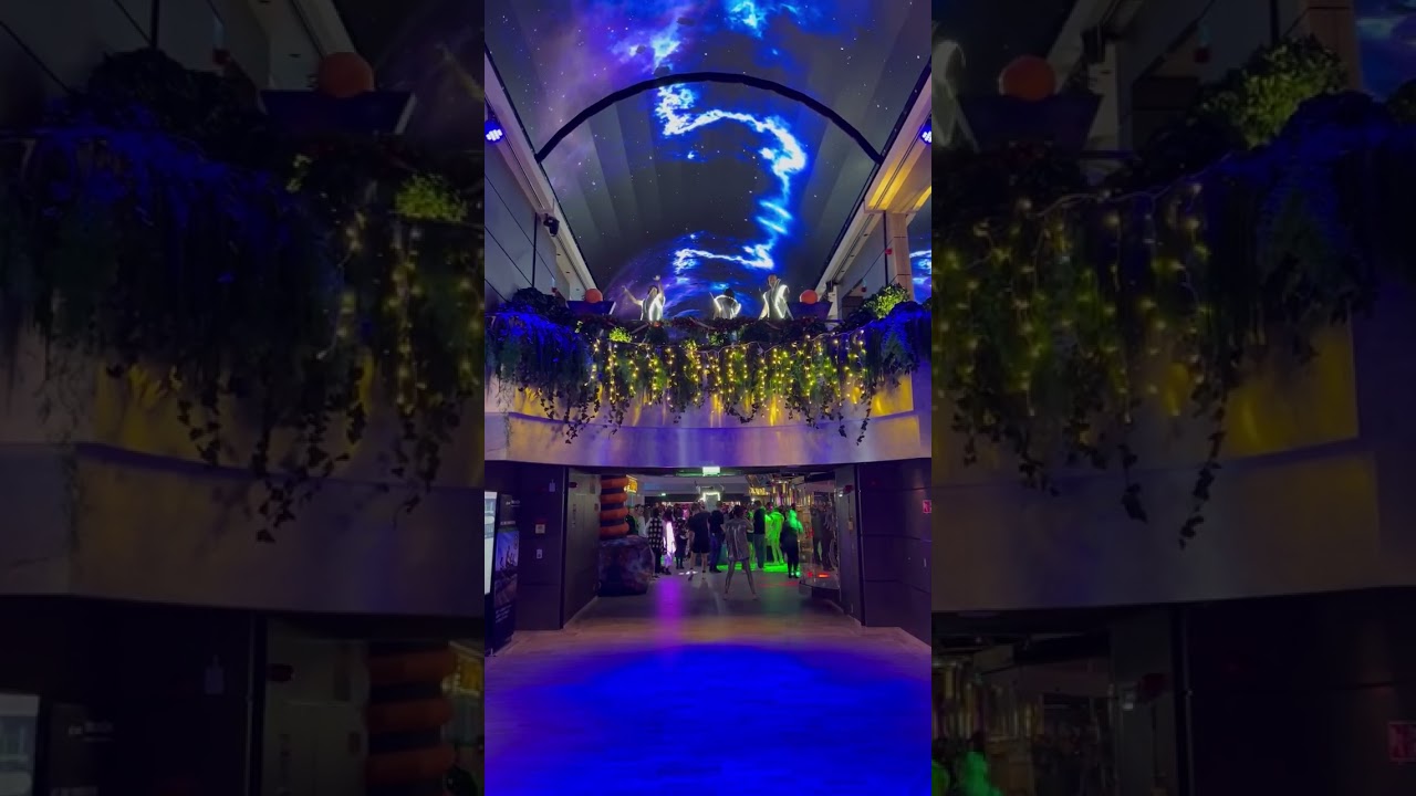 WINTER CRUISING: WHAT TO EXPECT | Cruise Ship Tips by The Owlet Blog