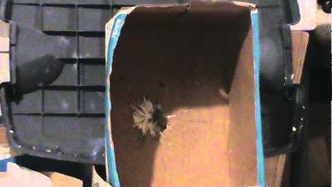 Minimag shooting  video