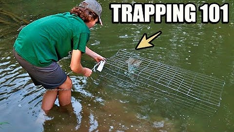 TRAP SETTING 101...SNAPPING TURTLES
