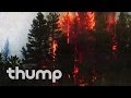 Tom Demac & Will Samson - "It Grows Again (Radio Edit)" (Official Video)
