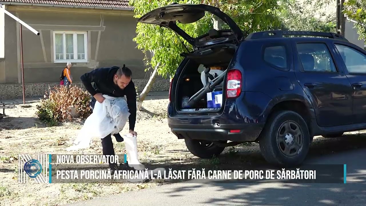 PESTA PORCINĂ AFRICANĂ L-A LĂSAT FĂRĂ CARNE DE PORC DE SĂRBĂTORI